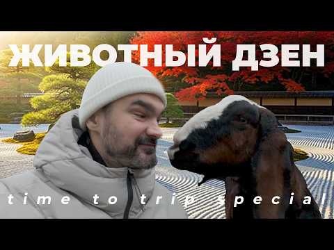 Видео: Трогать разрешено! Изучаем зоопарк „Зоо Дзен“ в Токсово