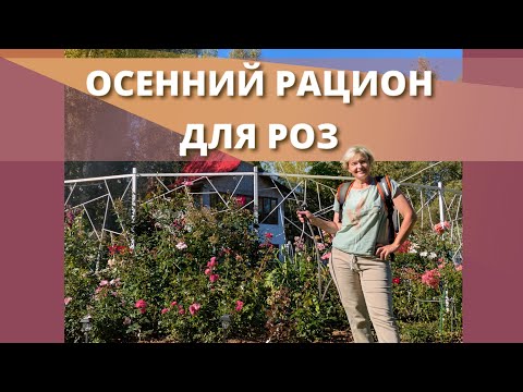 Видео: А РОЗОЧКИ СОЗРЕЛИ? Кто перезимует, а кто нет?