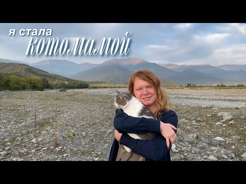 Видео: я стала котомамой