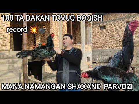 Видео: ПАРВОЗЛАР УЧУН ЯНГИ ВИДЕО НАМАНГАН ШАХАНДЛИК ПАРВОЗ АКАНИ УЙИДАН МОШНИ ВИДЕО