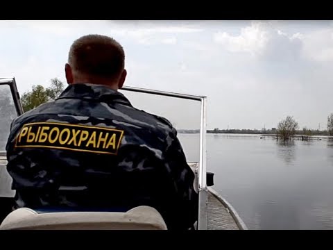 Видео: Рыбнадзор в стране дураков.Рыбак в ярости.