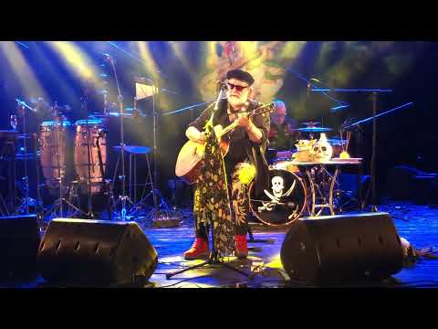 Видео: Борис Гребенщиков - Сидя на красивом холме - Город золотой - концерт Бургас-2024