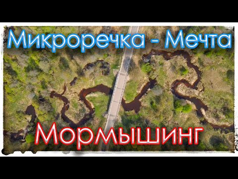 Видео: Микроречка - мечта! Мормышинг.