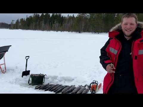 Видео: СТОЛЬКО ЩУК МЫ ЕЩЁ НЕ ЛОВИЛИ.РЫБАЛКА В КАРЕЛИИ С ПАЛАТКОЙ.