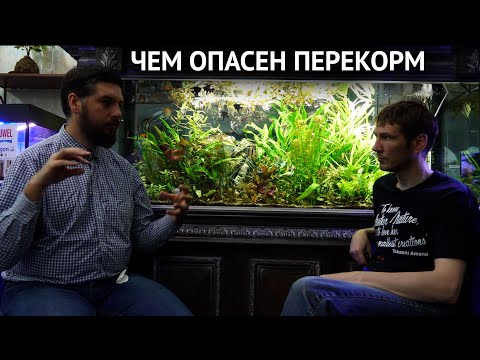 Видео: Чем опасен перекорм