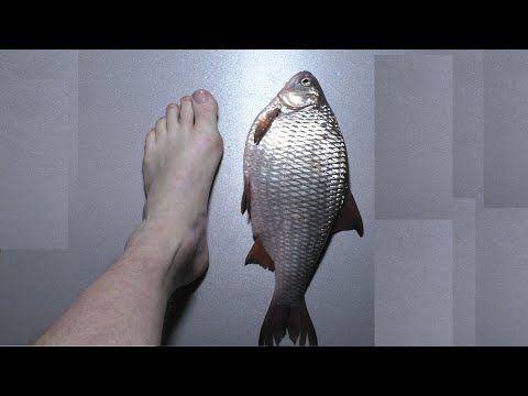 Видео: Десна.  Плотва  "Нога"