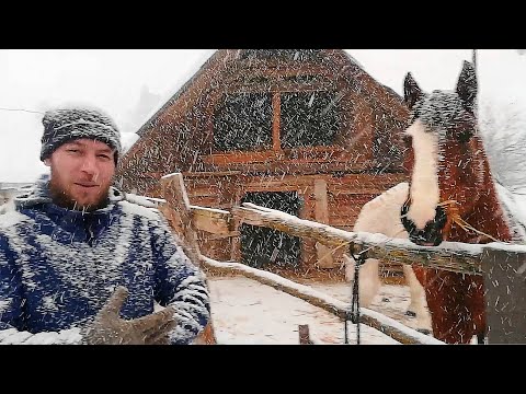 Видео: КУПИЛИ ДОМ В ДЕРЕВНЕ. ХОЗЯЙСТВО ПОПОЛНЯЕТСЯ В СНЕГОПАД. ОКОТ ЕЩЕ ОДНОЙ КОЗЫ.