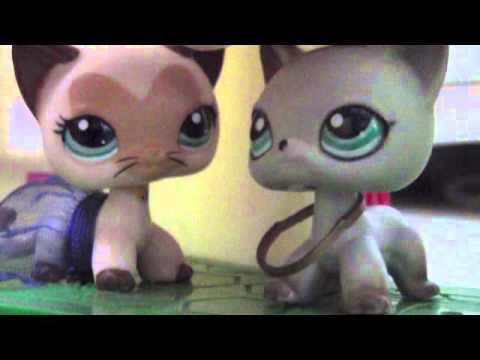 Видео: LPS: Music Video "навечно твоя"