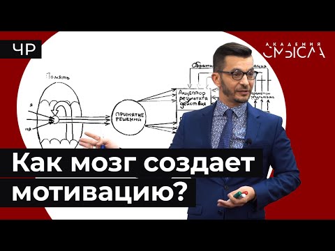 Видео: Мозг и мотивация. Акцептор результата действия.