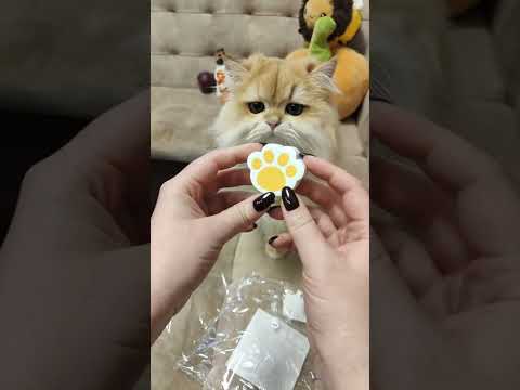 Видео: Распаковка Тему с Персиком в прямом эфире!