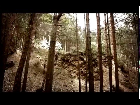 Видео: История Каменска-Уральского. Каменский завод.