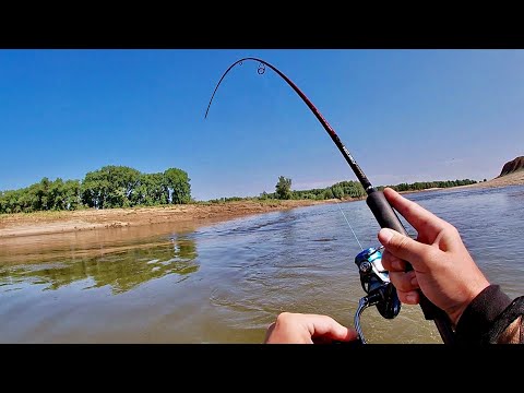 Видео: РЫБА РВЁТ ШНУР НА ПОКЛЁВКАХ! ВСЕМ советую ослабить ФРИКЦИОН. Рыбалка во время вылета насекомых