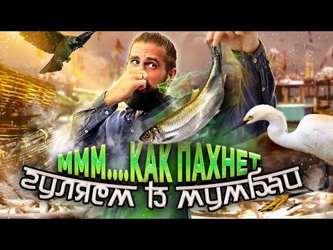 Видео: Прогулка по Мумбаи, район Колаба. По следам Шантарам