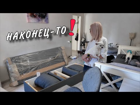 Видео: VLOG. Долгожданный диван, готовка и неожиданный звонок от Киры 💔