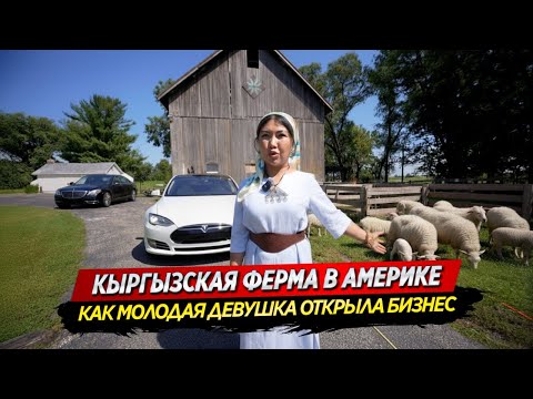 Видео: Кыргызская ферма за 440 тысяч долларов в Америке / Работа в IT / Сколько приносит ферма...