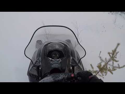 Видео: Тайга PATRUL 550 swt vs Тайга Варяг 550 se. Рыбалка выходного дня.