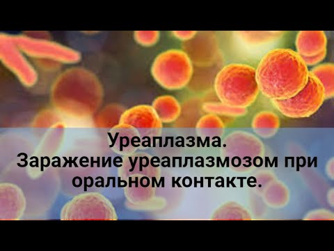 Видео: Уреаплазма. Заражение уреаплазмозом при оральном контакте.