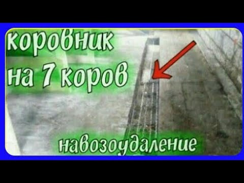 Видео: коровник на 7голов//продуманная система навозоудаления