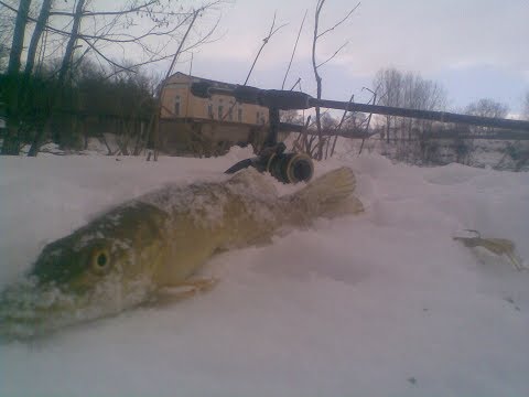 Видео: Ловля щуки в феврале на оснастку "джиг-риг".