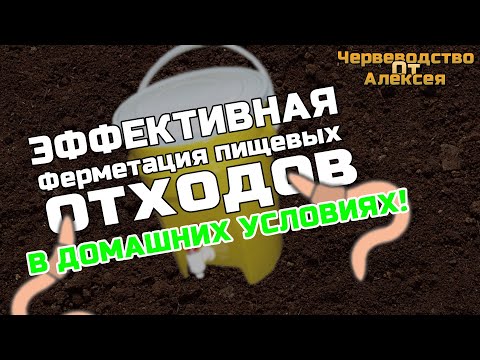 Видео: Переработка органики( кухонных отходов) в квартире. ЭМ Контейнер.