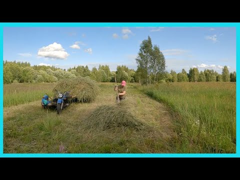 Видео: Нашел новые покосы, но сенокос замедлился! Деревенские будни июля!