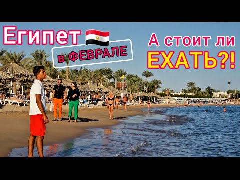 Видео: ОТДЫХ в Египте в ФЕВРАЛЕ 🇪🇬 НИЗ ЦЕНЫ❗Погода СЕЙЧАС. БЕЗВЕТРЕННЫЕ бухты. Какой ОТЕЛЬ выбрать?