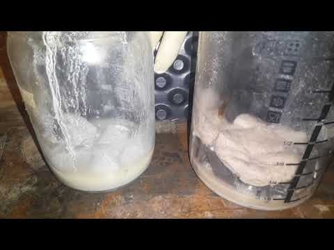 Видео: Часть 1. Новый способ очистки серебра ( хлорида) от примесей.