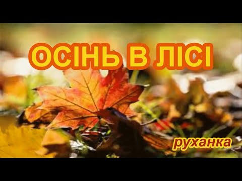 Видео: Осінь в лісі/ руханка