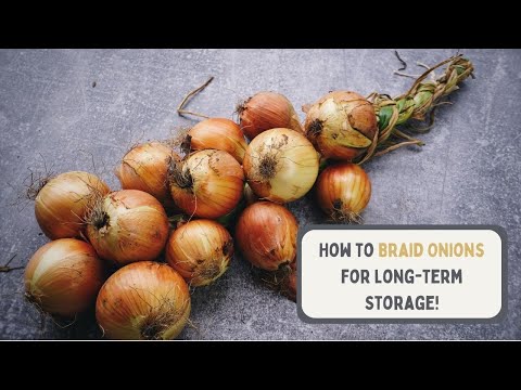 Видео: Как заплести лук для длительного хранения
