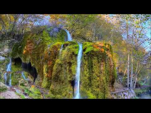 Видео: 22. Робер Адамс. До Я