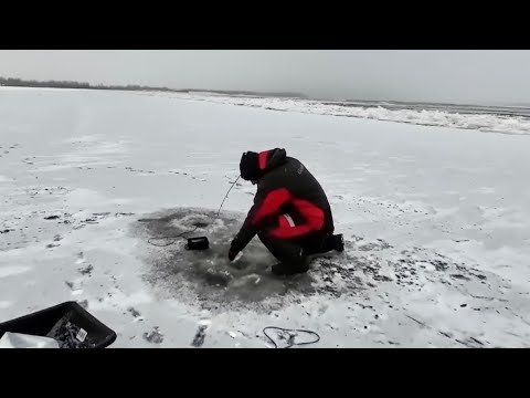 Видео: Это ПИ#%ЕЦ! НАШЁЛ ЛУНКУ МЕЧТЫ. СТЕНА ИЗ РЫБЫ ПОД ВОДОЙ