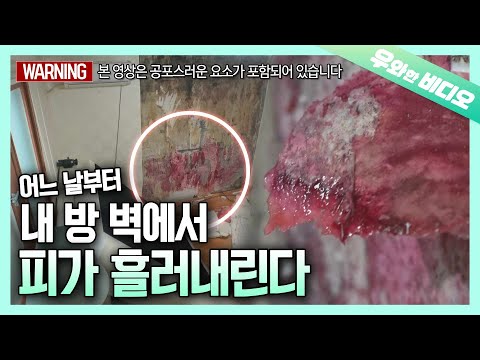 Видео: Красное пятно крови, протекающее на стене в моей комнате