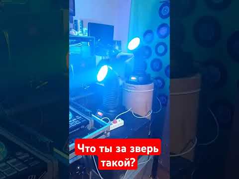 Видео: Световая голова из фантастического фильма ужасов #диджеинг #юмор #прикол