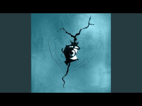 Видео: Антарктика