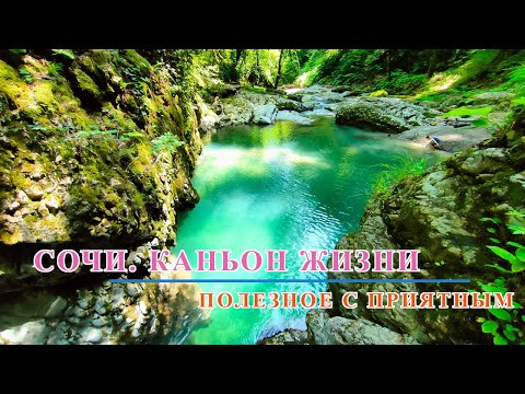 Видео: "Каньон жизни" в Сочи - лучшее место для отдыха!