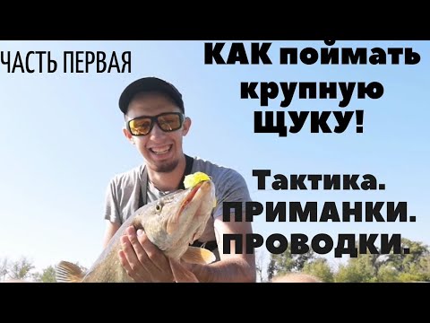 Видео: КАК ЛОВИТЬ БОЛЬШИХ ЩУК.как ловить щуку в коряжнике