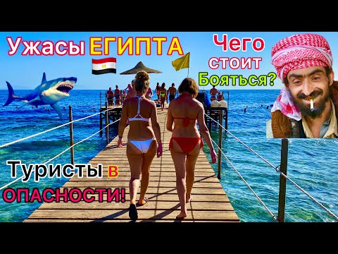 Видео: СТРАШНЫЙ Египет 2025🇪🇬 ОСТОРОЖНО❗️ Чего БОЯТСЯ туристы на отдыхе в Египте? Египетские УЖАСЫ