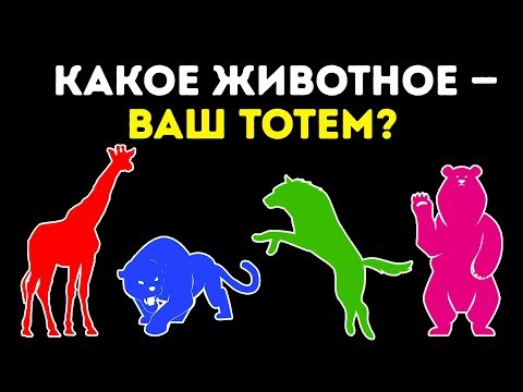 Видео: Тест: Какое Животное — Ваш Тотем?