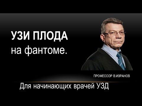 Видео: УЗИ плода на фантоме. Часть 1.