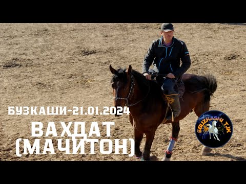 Видео: Бузкаши 21.01.2024 д.Мачитон