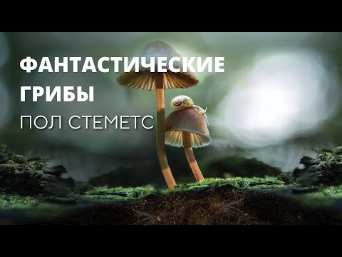 Видео: Фантастические Грибы, Пол Стеметс (Paul Stamets). Фильм документальный (2019)