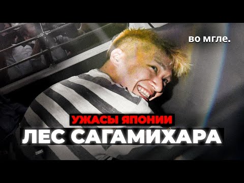 Видео: Ужасы Японии: Инцидент в Сагамихаре