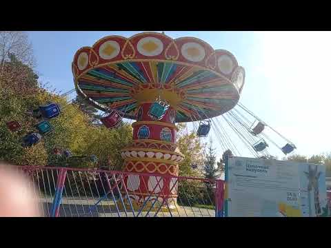Видео: Мое небольшое путешествие в зоопарк