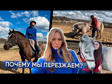 Видео: VLOG: Последний день на нашей конюшне / Что случилось и куда мы едем?