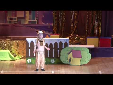 Видео: "КТО СКАЗАЛ МЯУ" студия "Заигралия"