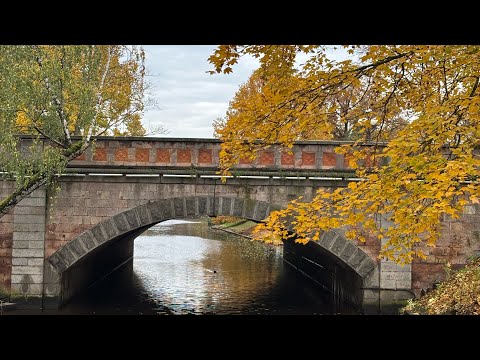 Видео: Рига день 3. Переезд в апартаменты. Особенности проезда в городском транспорте и дорогой Макдональдс