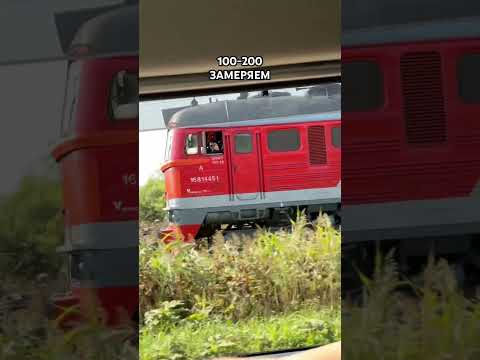 Видео: На перекрестке догнал меня, но я пропустил 😂 #путешествия #сахалин #гедонизм #номад #курилы #рек