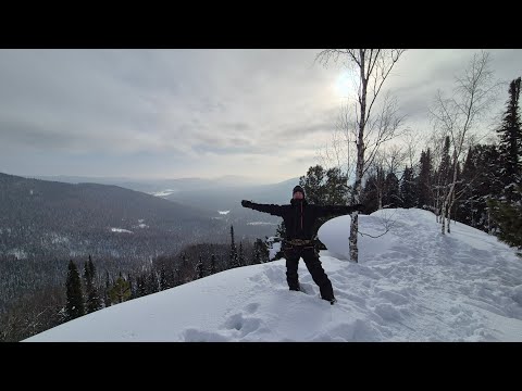 Видео: Как же в лесу дышится легко. И проникают мысли глубоко!