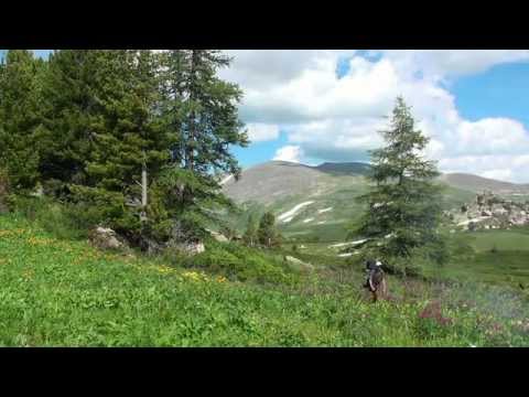 Видео: Западно-Алтайский заповедник