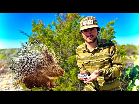 Видео: Я охотился с самым маленьким в мире ружьем